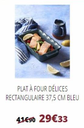 PLAT À FOUR DÉLICES RECTANGULAIRE 37,5 CM BLEU  41€90 29€33  