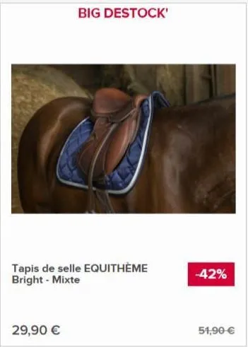 big destock'  tapis de selle equithème bright - mixte  29,90 €  -42%  51,90 €  