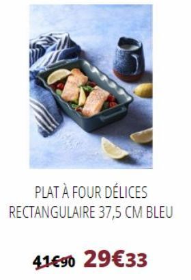 PLAT À FOUR DÉLICES RECTANGULAIRE 37,5 CM BLEU  41€90 29€33  