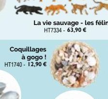 Coquillages  à gogo! HT1740 - 12,90 €  La vie sauvage - Les félins HT7334 - 63,90 € 