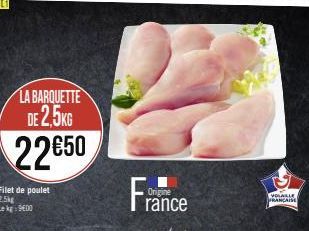 poulet 