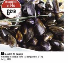 moules 