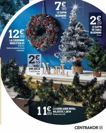 12.9⁰  €  LA COURONNE HOUX ÉTOILES  035cm  Existe en parmes de pin  + branches.  63  2  € 149 "NOËL" SUR SOCLE 11,4x22,5x4cm  Bols  11€  99  LE SAPIN BLOOMING  70 cm.  DELL  €LA GUIRLANDE ROYAL  MAJES