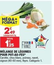 MÉGA+ FORMAT  249  Laborettede 2 S  125  MÉLANGE DE LÉGUMES POUR POT-AU-FEU* Carotte, chou blanc, poireau, navet, oignon (40-60 mm), thym. Catégorie 1.  TORGNE  FRANCE  FRUITS LEGUMES  MAN 