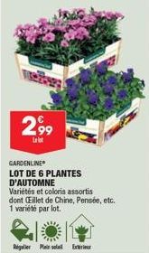 plantes 