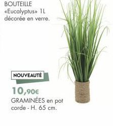 NOUVEAUTÉ  10,90€ GRAMINÉES en pot corde - H. 65 cm. 