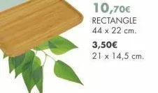 10,70€  rectangle  44 x 22 cm.  3,50€  21 x 14,5 cm. 
