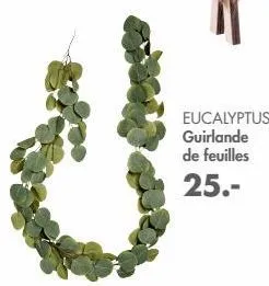 eucalyptus  guirlande de feuilles 25.-