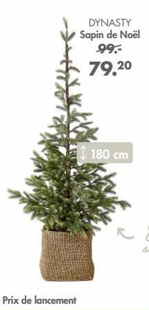 sapin de Noël 