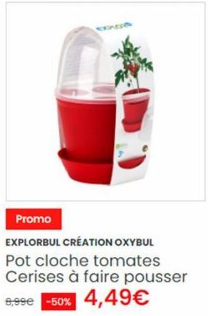 Promo  EXPLORBUL CRÉATION OXYBUL Pot cloche tomates Cerises à faire pousser 9,99€ -50% 4,49€  SEADR  