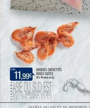 leng  grosses crevettes roses cuites 30 à 40 pièces au kg  11,99€ asie du sud est  et/ou amerique du sud selon arrivage 