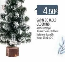 4,50€  sapin de table blooming modelo conneige  hauteur 25 cm-pied bois  également disponible en non décoré à 3€ 
