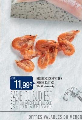 LENG  GROSSES CREVETTES ROSES CUITES 30 à 40 pièces au kg  11,99€ ASIE DU SUD EST  ET/OU AMERIQUE DU SUD SELON ARRIVAGE 