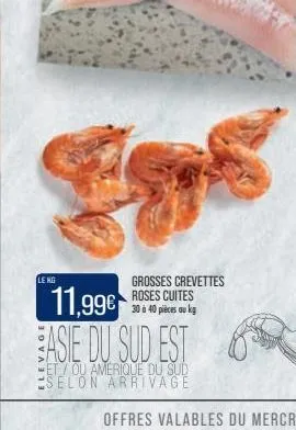 leng  grosses crevettes roses cuites 30 à 40 pièces au kg  11,99€ asie du sud est  et/ou amerique du sud selon arrivage 