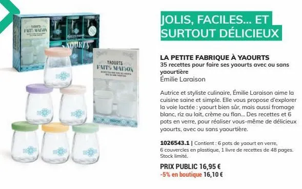 son fait maison  kourty  yaourts faits maison  jolis, faciles... et surtout délicieux  la petite fabrique à yaourts  35 recettes pour faire ses yaourts avec ou sans yaourtière  émilie laraison  autric