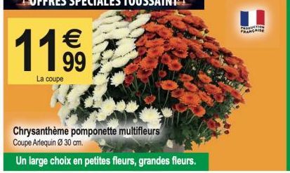 1199⁹9  La coupe  Chrysanthème pomponette multifleurs Coupe Arlequin Ø 30 cm.  Un large choix en petites fleurs, grandes fleurs.  Coque PRANCAISE 