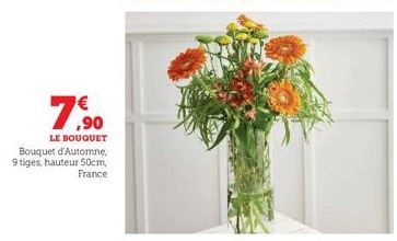 7,⁹0  LE BOUQUET  Bouquet d'Automne, 9 tiges, hauteur 50cm, France 