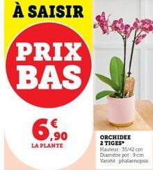 6,⁹⁰  LA PLANTE  À SAISIR  PRIX BAS  ORCHIDEE 2 TIGES Hauteur: 35/42 cm Diamètre pot: 9 cm Variee phalaenopsis 