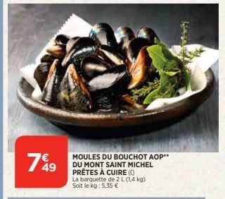 moules 