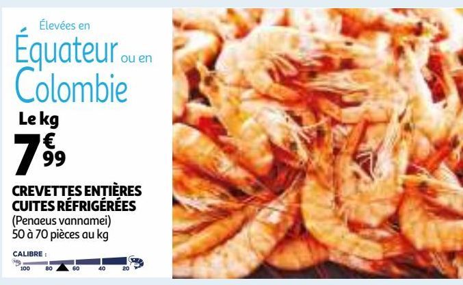 CREVETTES ENTIÈRES CUITES RÉFRIGÉRÉES