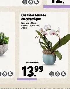 orchidée torsade en céramique longueur : 13 cm hauteur : 30 cm min. 131060  l'unité au choix  13.⁹⁹  99  400 