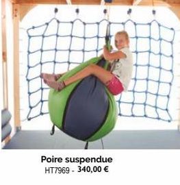 Poire suspendue HT7969- 340,00 € 