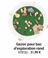 Gazon pour bac d'exploration rond HT8153 - 21,90 € 