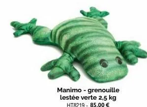 manimo - grenouille lestée verte 2,5 kg ht8219 -85,00 € 