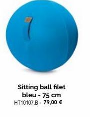 Sitting ball filet bleu - 75 cm HT10107.B - 79,00 € 