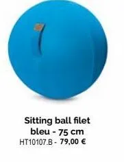 sitting ball filet bleu - 75 cm ht10107.b - 79,00 € 