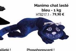 Manimo chat lesté bleu - 1 kg HT8217.1 - 79,90 €  Phosphorescent! 