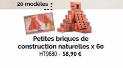 20 modèles  ......  Petites briques de construction naturelles x 60 HT9880 - 58,90 € 