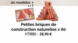 20 modèles  ......  petites briques de construction naturelles x 60 ht9880 - 58,90 € 
