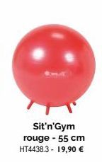 Sit'n'Gym rouge - 55 cm HT4438.3 - 19,90 € 