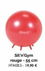 sit'n'gym rouge - 55 cm ht4438.3 - 19,90 € 