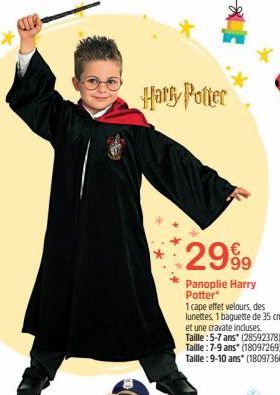 *A  Harry Potter  