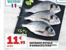 11,95  leng  daurade royale d'aquaculture 
