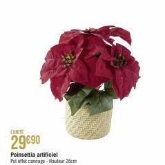29€90  Poinsettia artificiel  Pot effet cannage-Hauteur 26cm 