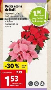 Petite étoile de Noël  La plante: 2,19 €  Les 2 plantes au choix: 3,72 € soit 1.86 € la plante 10,5 cm Hauteur: 25 cm  134904  -30%  LA PLANTE 2.19  LA PLANTE ●AU CHOIX  SUR LA  1.86  |Tutih  pour l'a