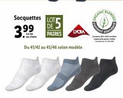 socquettes 