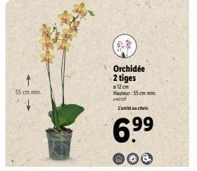 55 cm min.  W  Orchidée 2 tiges  12 cm Hauteur: 55 cm min. -27  L'unité au choix  6.9⁹9⁹ 