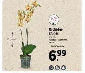 55 cm min.  w  orchidée 2 tiges  12 cm hauteur: 55 cm min. -27  l'unité au choix  6.9⁹9⁹ 