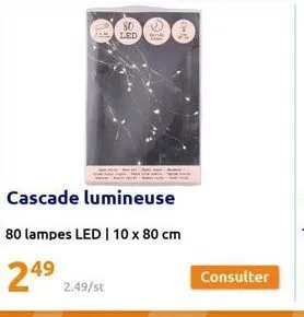 80 led  cascade lumineuse  80 lampes led | 10 x 80 cm  24⁹  2.49/st  consulter 
