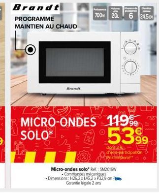 micro-ondes Brandt