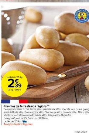 pommes de terre 