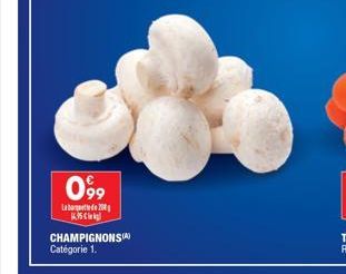 099  Labd  风行者l  CHAMPIGNONS()  Catégorie 1. 