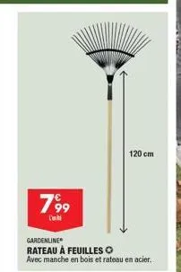 799  gardenline rateau à feuilles  avec manche en bois et rateau en acier.  120 cm 