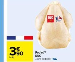 poulet 