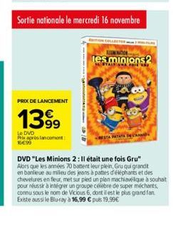 dvd Minions