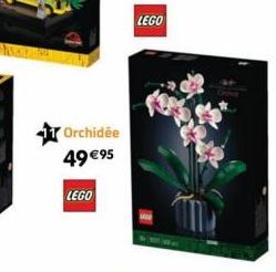 Orchidée 49 € 95  LEGO 